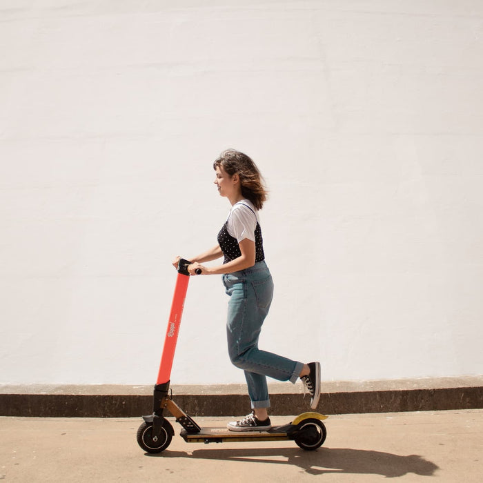 Navigating the Horizon with Long-Distance Electric Scooters
